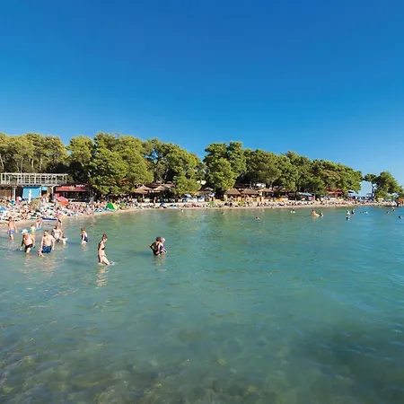 Stunning In Sv,petar *